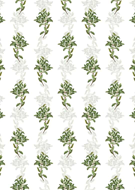 Evergreen Oak Pattern