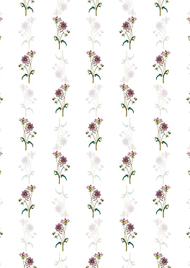 White Dwarf Dahlia Pattern