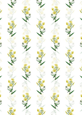 White Madia Flower Pattern