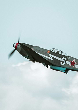 yak 3