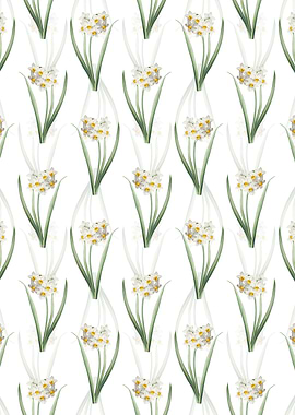 Narcissus Easter Flower