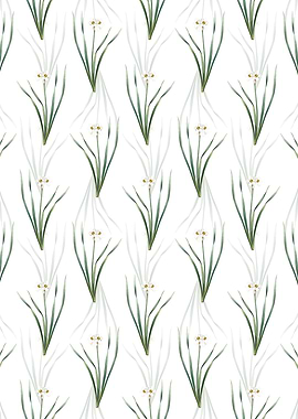 Primrose Peerless Pattern