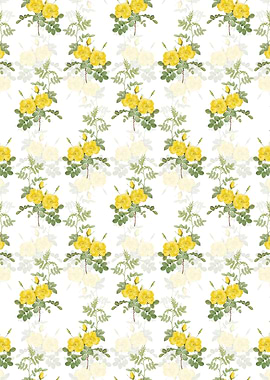 Yellow Sweetbriar Roses