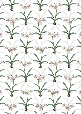 Floral Amaryllis Pattern