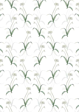 Spring Garlic Pattern