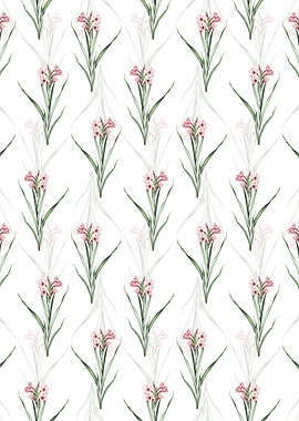 Floral Sword Lily Pattern