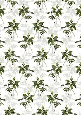 Swamp Titi Leaves Pattern