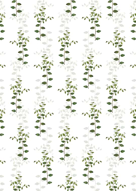 Christs Thorn Pattern