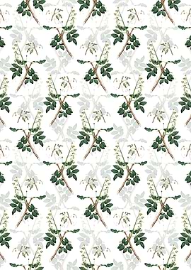 Floral Pistachio Pattern