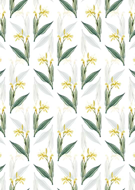 Bandana of the Everglades