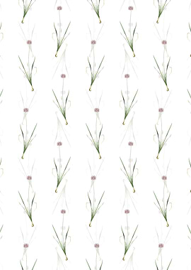 White Mouse Garlic Pattern