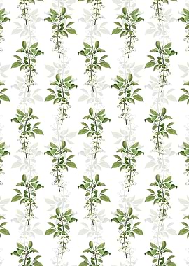 White Mountain Silverbell