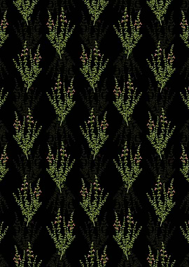 Cat Thyme Plant Pattern