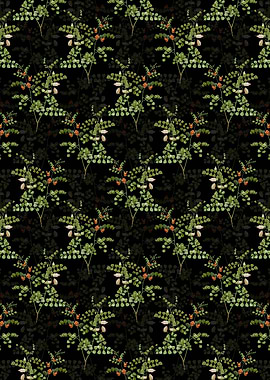 Spotted Bladder Senna