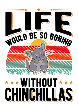 Chinchilla Lover