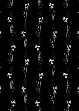 Black Painted Lady Pattern