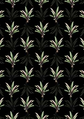 Floral Boat Lily Pattern
