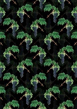 Black Black Aleatico Grape