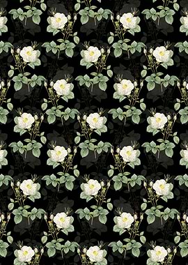 White Rose of York Pattern