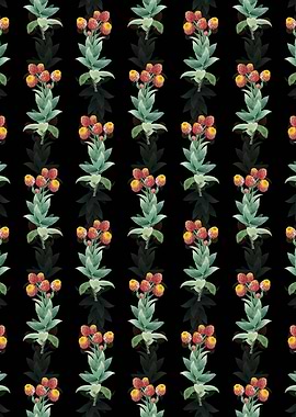 Floral Cudweeds Pattern