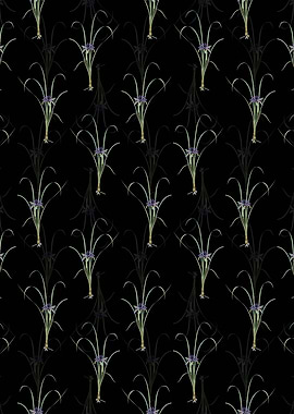 Grass Leaved Iris Pattern