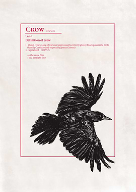 A Crow Flying On Defined