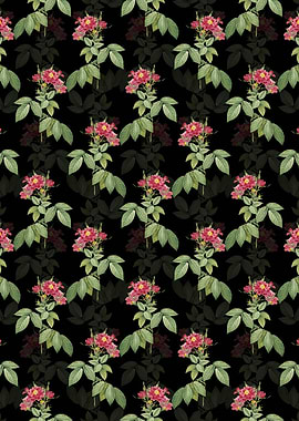 Boursault Rose Pattern