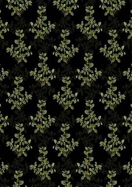 Italian Buckthorn Pattern