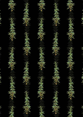 Floral Rosemary Pattern