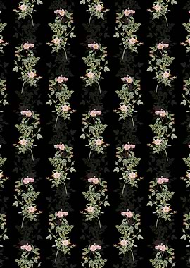 Pink Pompon Rose Pattern