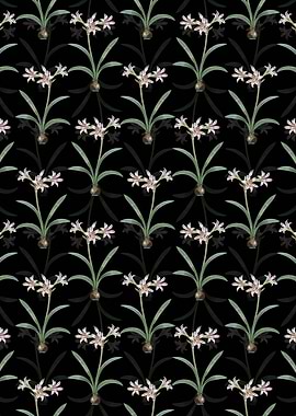 Floral Amaryllis Pattern