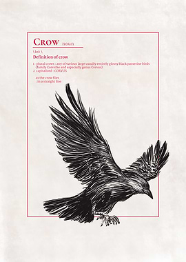 A Crow Flying Down Defined