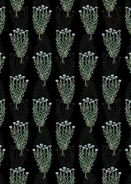 Globe Daisies Pattern