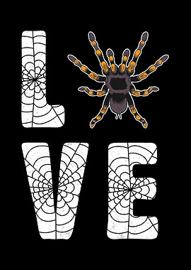 Love Tarantulas