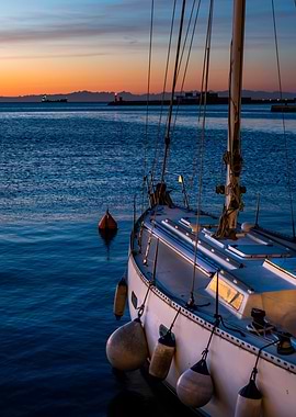Boat Sailing Boats Ocean
