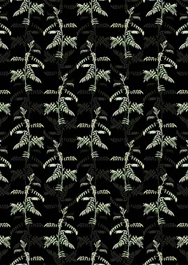 Flowering Indigo Plant