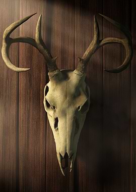 Deer Skull