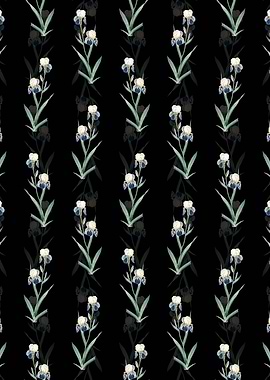 Elder Scented Iris Pattern