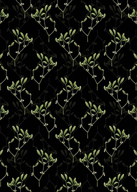 Black Viscum Album Branch