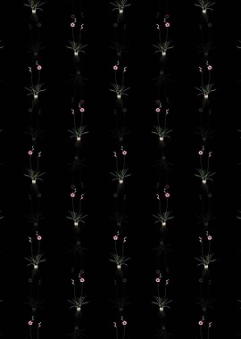 Floral Ixia Crispa Pattern