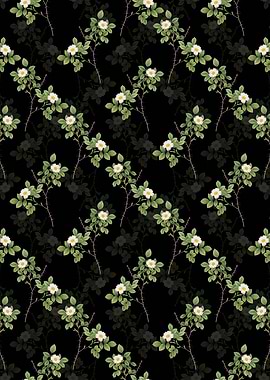 Spiny Rose of Dematra