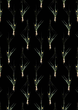Floral Weevil wort Pattern