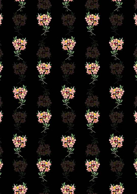 Changeable Pontic Azalea