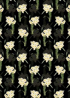 Bunch Flowered Daffodil