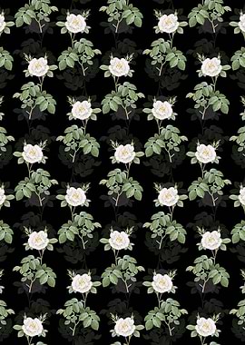 Floral White Rose Pattern