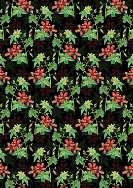 Lavatera Phoenicea Pattern