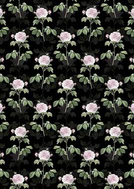 Floral Rosa Alba Pattern