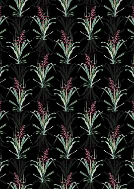 Pitcairnia Bromeliaefolia