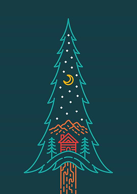 Overnight in The Pine Fore