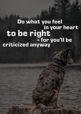 Do what you feel in your